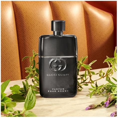 gucci guilty when to wear|Gucci Guilty for men fragrantica.